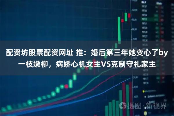 配资坊股票配资网址 推：婚后第三年她变心了by一枝嫩柳，病娇心机女主VS克制守礼家主