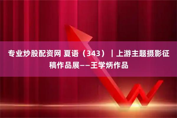 专业炒股配资网 夏语（343）｜上游主题摄影征稿作品展——王学炳作品
