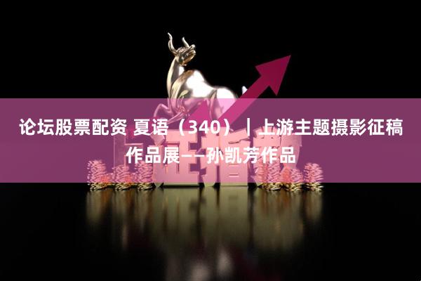 论坛股票配资 夏语(340)|上游主题摄影征稿作品展——孙凯芳作品